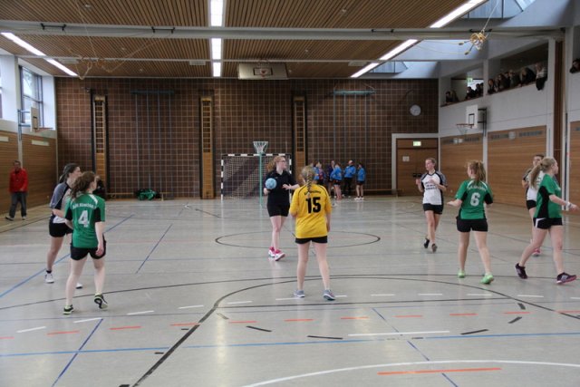 2017_02_19 Landesliga Frauen und Jugend 19